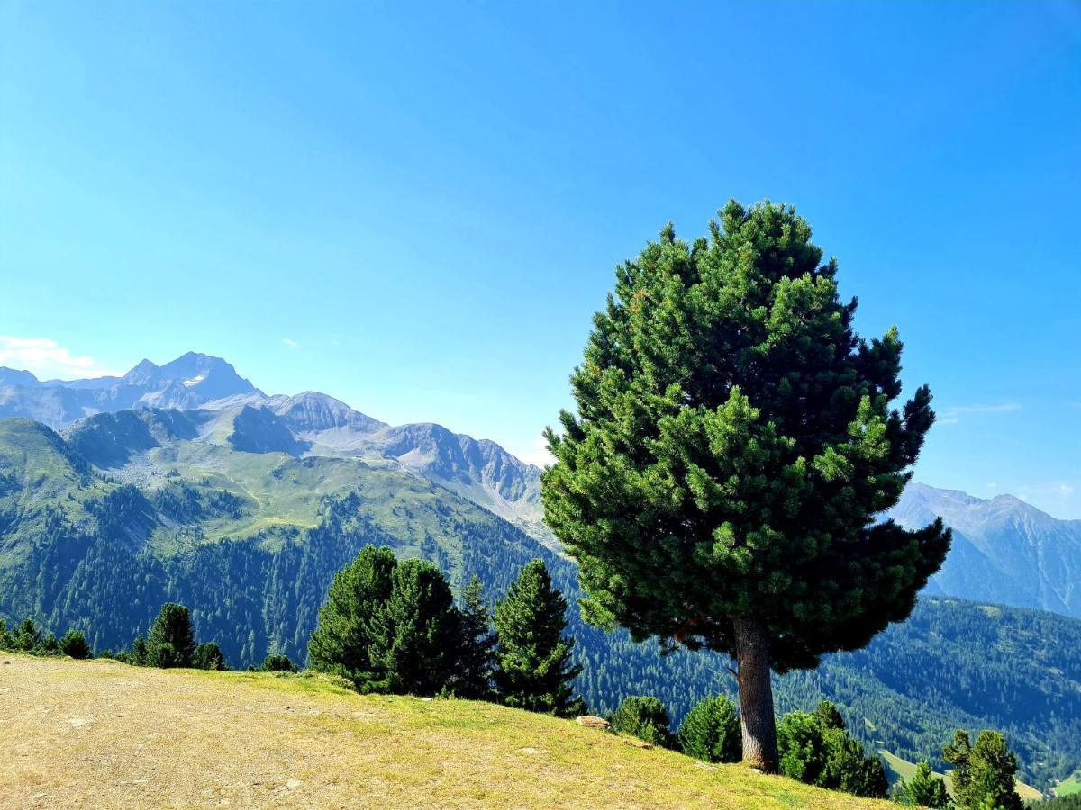Bergnest Oetztal - Appartements อุมเฮาเซิน ภายนอก รูปภาพ