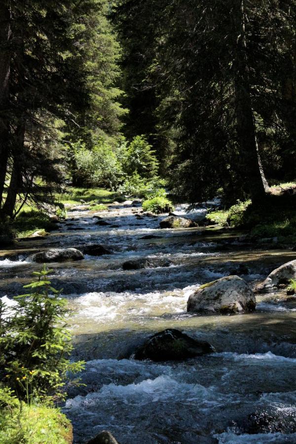 Bergnest Oetztal - Appartements อุมเฮาเซิน ภายนอก รูปภาพ