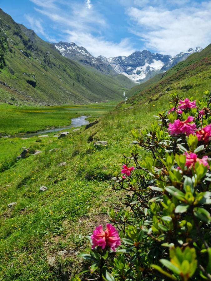 Bergnest Oetztal - Appartements อุมเฮาเซิน ภายนอก รูปภาพ